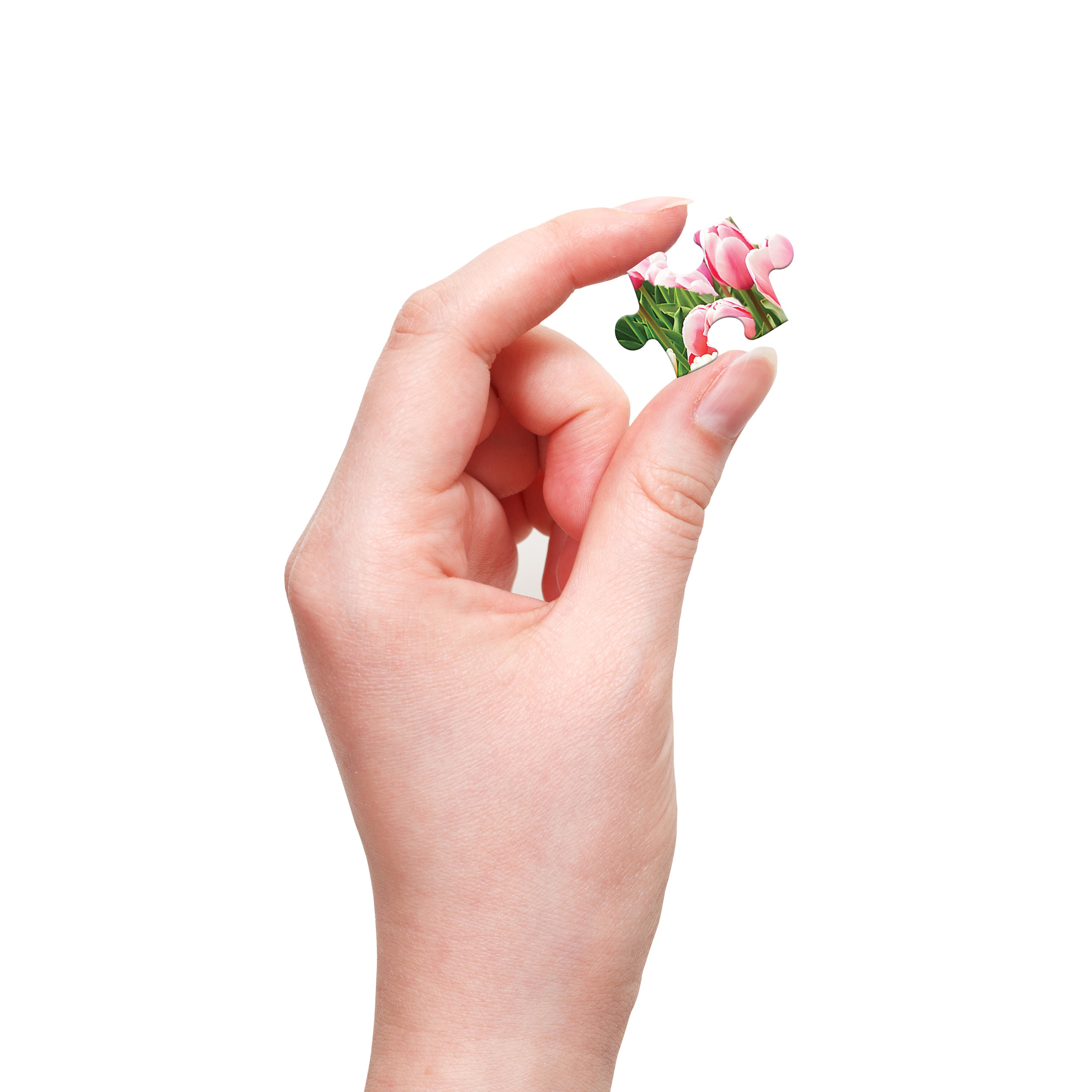 300p Large Piece Jigsaw: Dutch Windmills, Holland, Netherlands