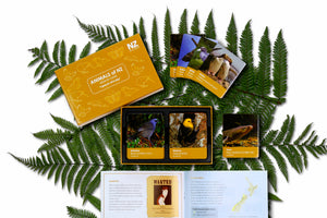 Animals of NZ Memory Game