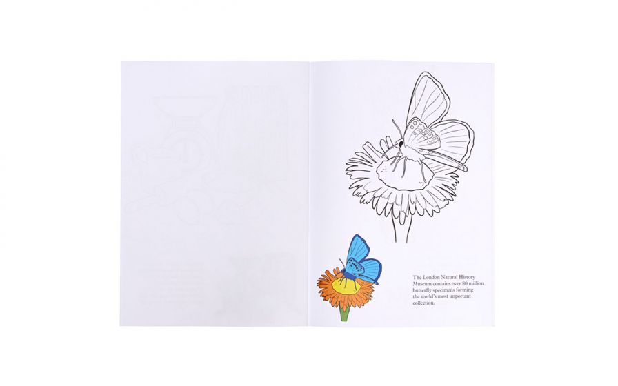spring colours dementia colouring book