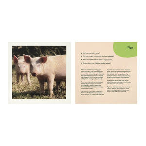 animals album timeslide™ reminiscence cards