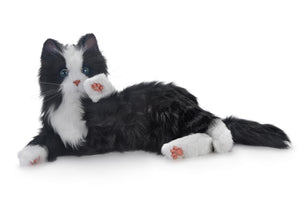 joy for all companion cat - tuxedo black & white/dementia nz