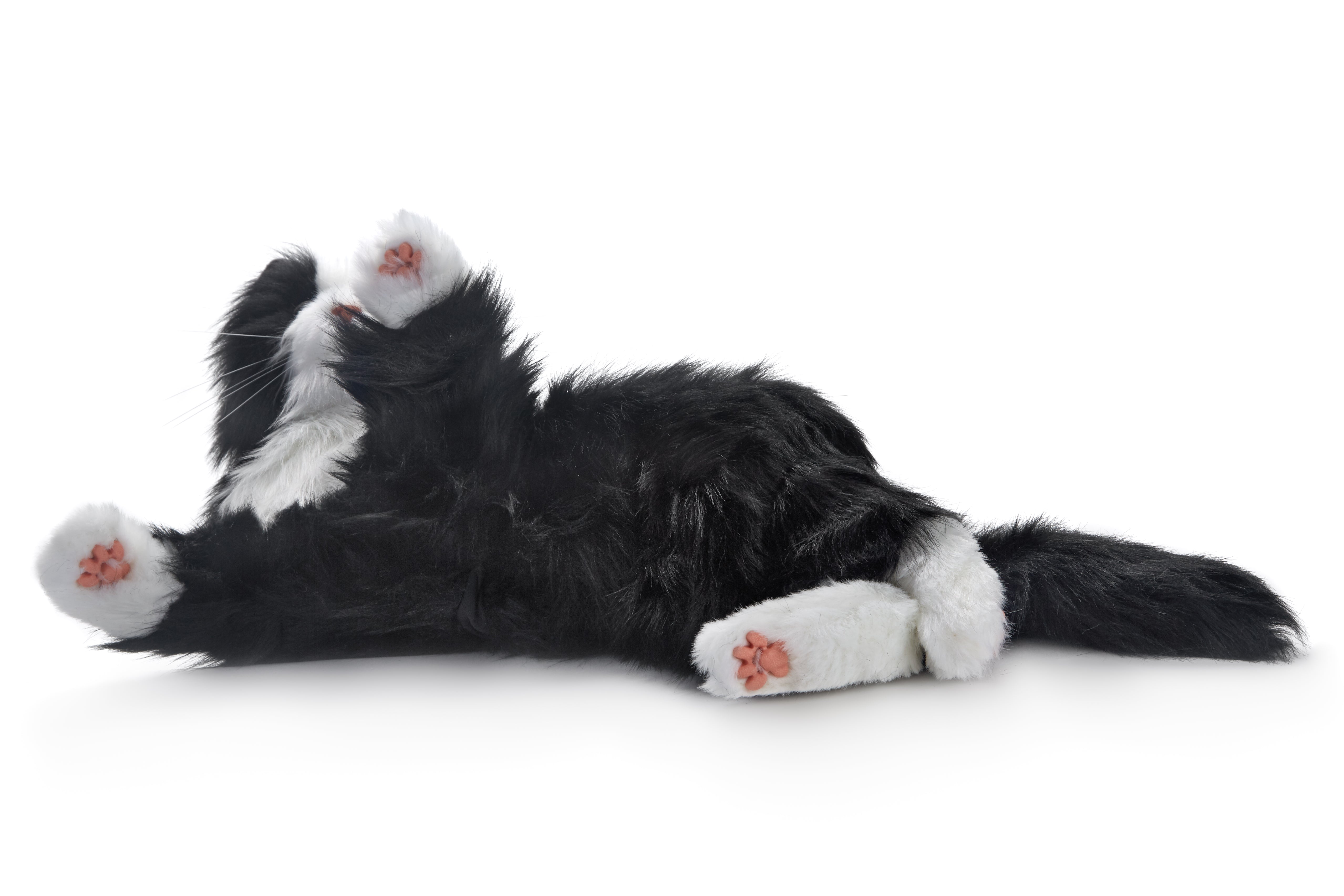 joy for all companion cat - tuxedo black & white/dementia nz