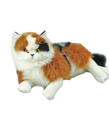 marmalade calico cat 38cm/weighted weighted